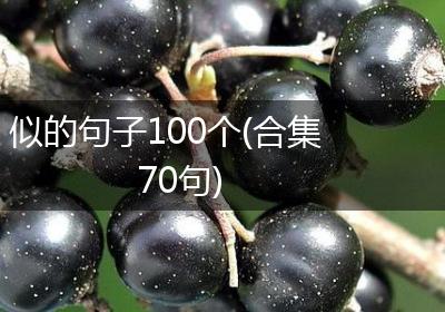 似的句子100个(合集70句)
