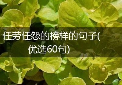 任劳任怨的榜样的句子(优选60句)