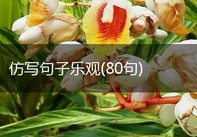 仿写句子乐观(80句)