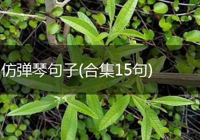 仿弹琴句子(合集15句)