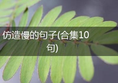 仿造慢的句子(合集10句)