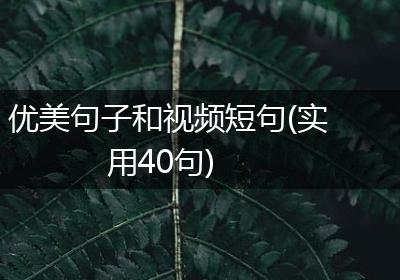 优美句子和视频短句(实用40句)