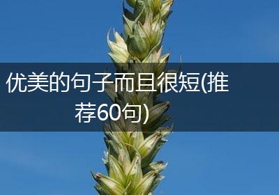 优美的句子而且很短(推荐60句)