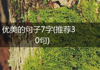优美的句子7字(推荐30句)