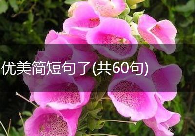 优美简短句子(共60句)