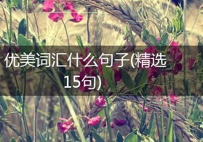 优美词汇什么句子(精选15句)