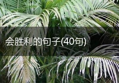 会胜利的句子(40句)