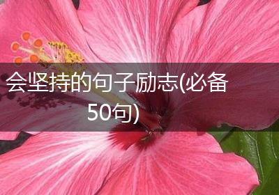 会坚持的句子励志(必备50句)