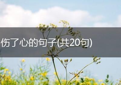 伤了心的句子(共20句)