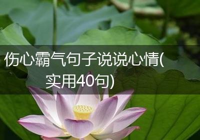 伤心霸气句子说说心情(实用40句)