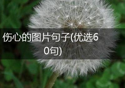 伤心的图片句子(优选60句)