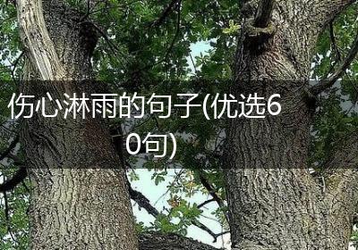 伤心淋雨的句子(优选60句)