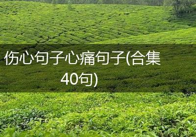 伤心句子心痛句子(合集40句)