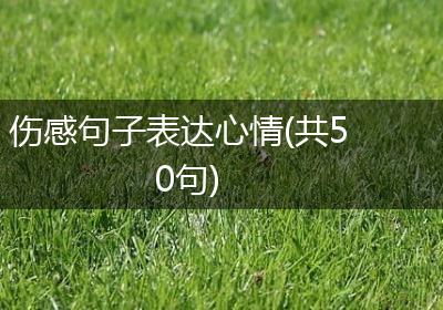 伤感句子表达心情(共50句)