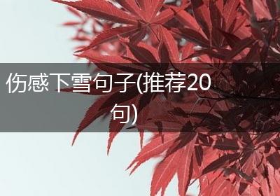 伤感下雪句子(推荐20句)