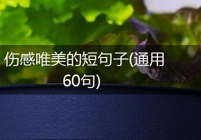 伤感唯美的短句子(通用60句)