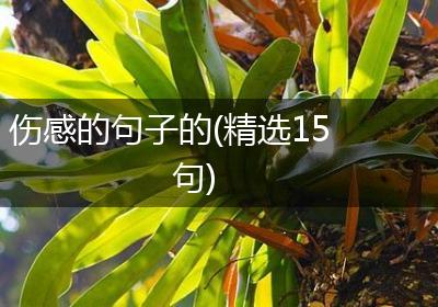 伤感的句子的(精选15句)