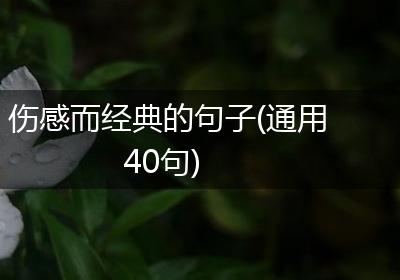 伤感而经典的句子(通用40句)