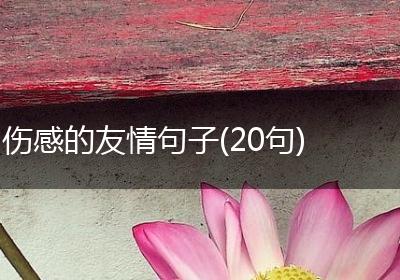 伤感的友情句子(20句)