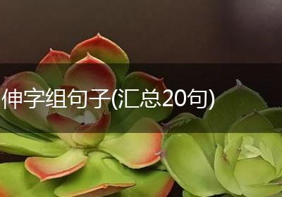 伸字组句子(汇总20句)