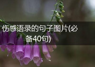 伤感语录的句子图片(必备40句)