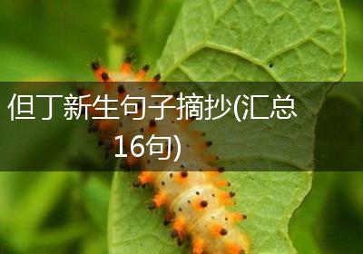 但丁新生句子摘抄(汇总16句)