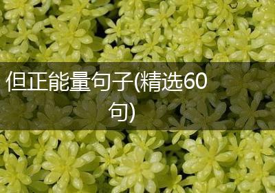但正能量句子(精选60句)
