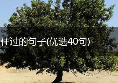 住过的句子(优选40句)