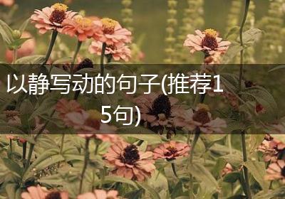 以静写动的句子(推荐15句)