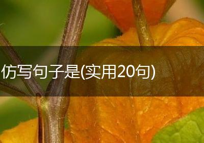 仿写句子是(实用20句)
