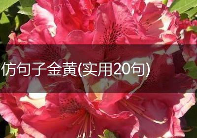 仿句子金黄(实用20句)