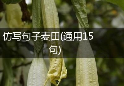 仿写句子麦田(通用15句)