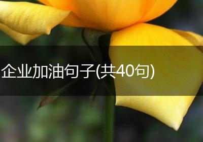 企业加油句子(共40句)