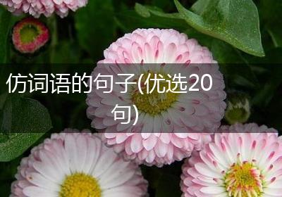 仿词语的句子(优选20句)