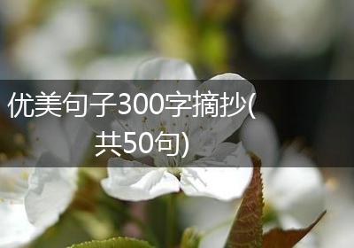 优美句子300字摘抄(共50句)