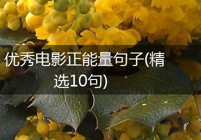 优秀电影正能量句子(精选10句)