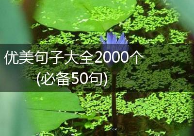 优美句子大全2000个(必备50句)