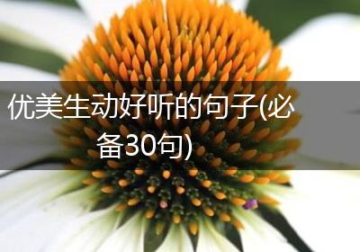 优美生动好听的句子(必备30句)