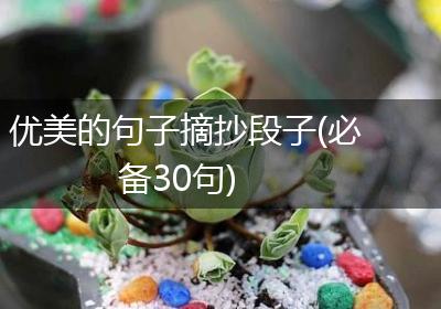 优美的句子摘抄段子(必备30句)