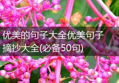 优美的句子大全优美句子摘抄大全(必备50句)