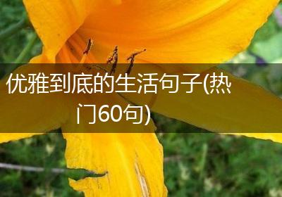优雅到底的生活句子(热门60句)