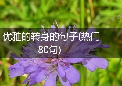 优雅的转身的句子(热门80句)