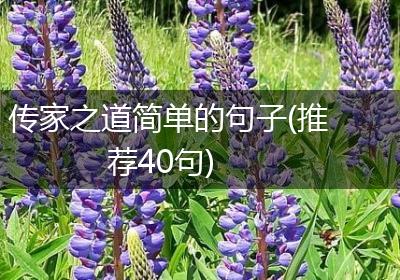 传家之道简单的句子(推荐40句)