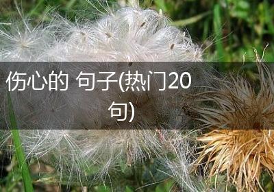 伤心的 句子(热门20句)