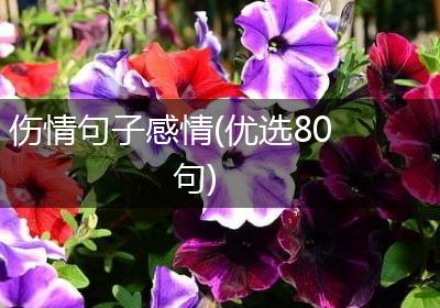 伤情句子感情(优选80句)