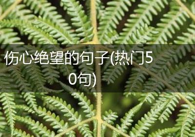 伤心绝望的句子(热门50句)