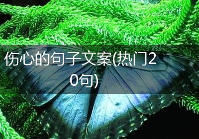 伤心的句子文案(热门20句)