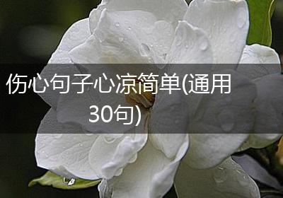 伤心句子心凉简单(通用30句)