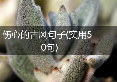 伤心的古风句子(实用50句)