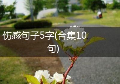 伤感句子5字(合集10句)